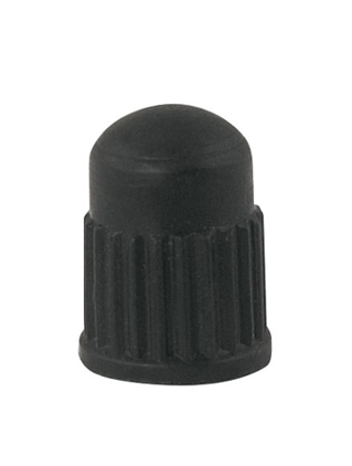 valve cap DUNLOP plastic